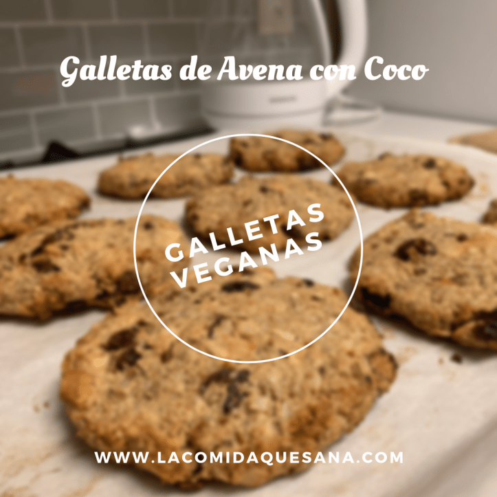 Oat Bran Coconut Vegan Cookies (1)