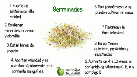 germinados1