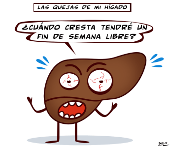 Higado